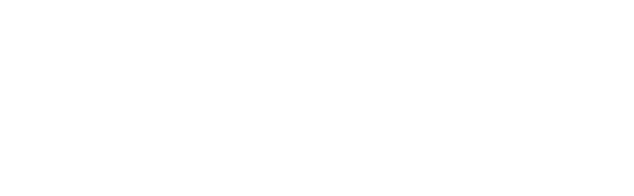 Grapiglia Mecânica Multimarcas